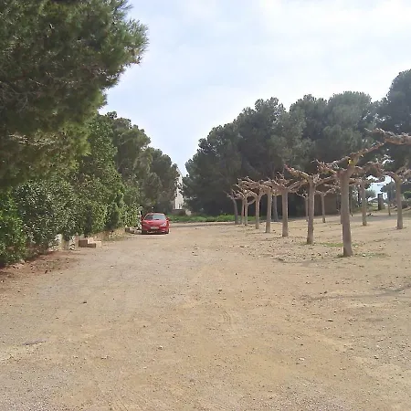 Maisonnette Petit Jardin Barbecue Tridente 2 Calafat